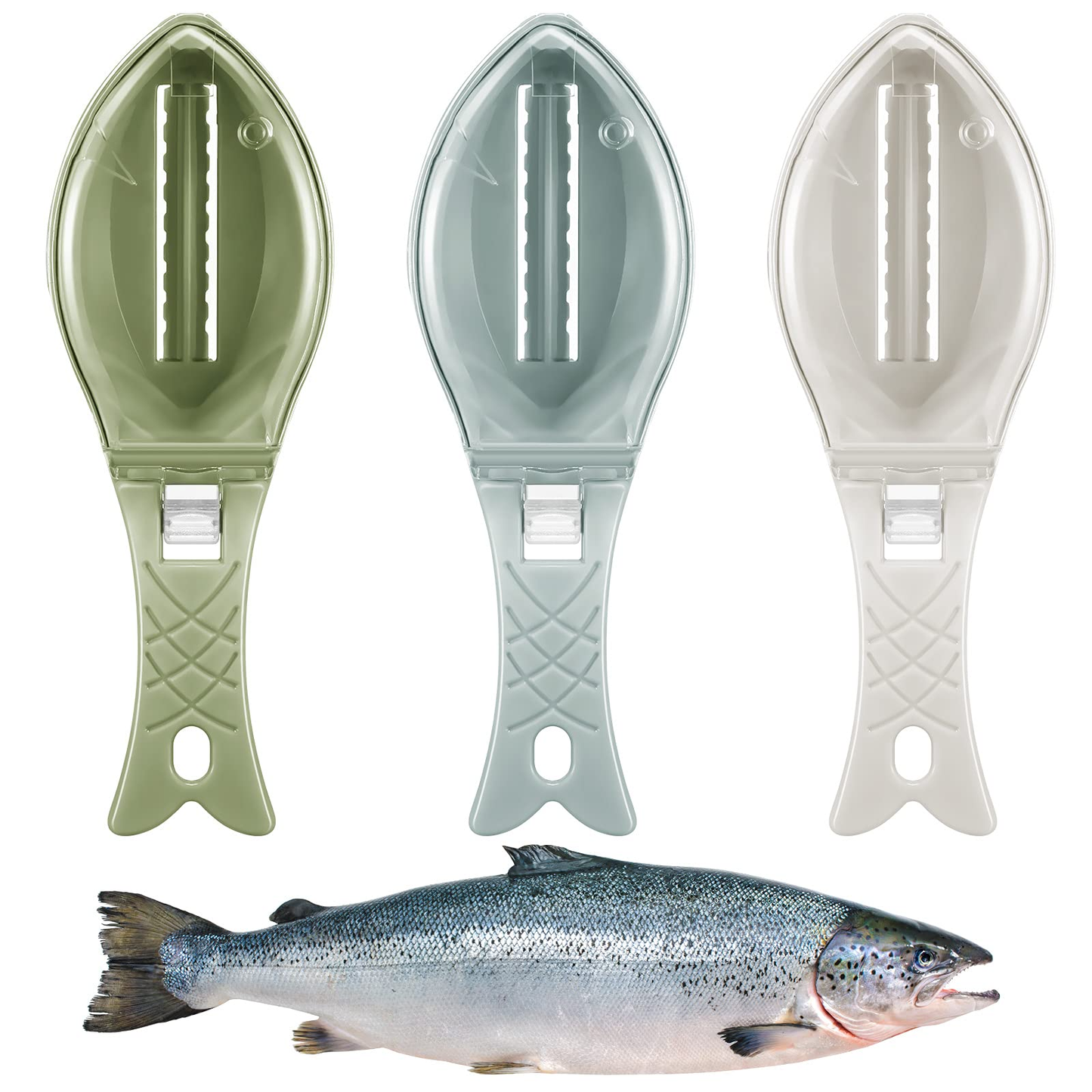 Fish Scaler Tool – Stainless Steel Fish Scale Scraper & Cleaning Brush