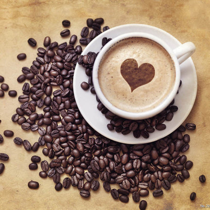 Fancy Coffee Appliances – Premium Coffee Maker & Brewing Tools